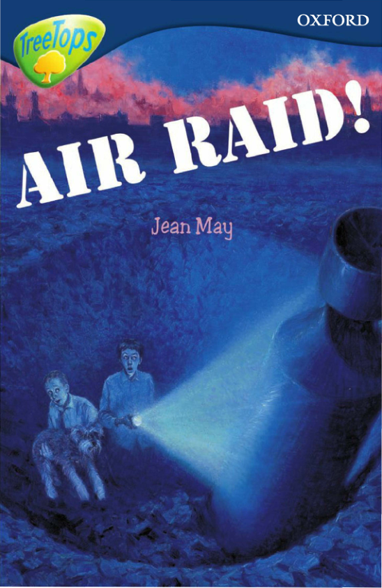 310. air raid